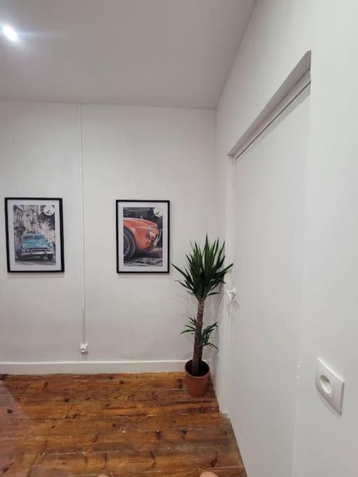 Appartement De Charme Avec Tomettes Et Parquet Graulhet Esterno foto